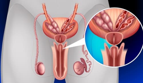 Prostamin nơi để mua